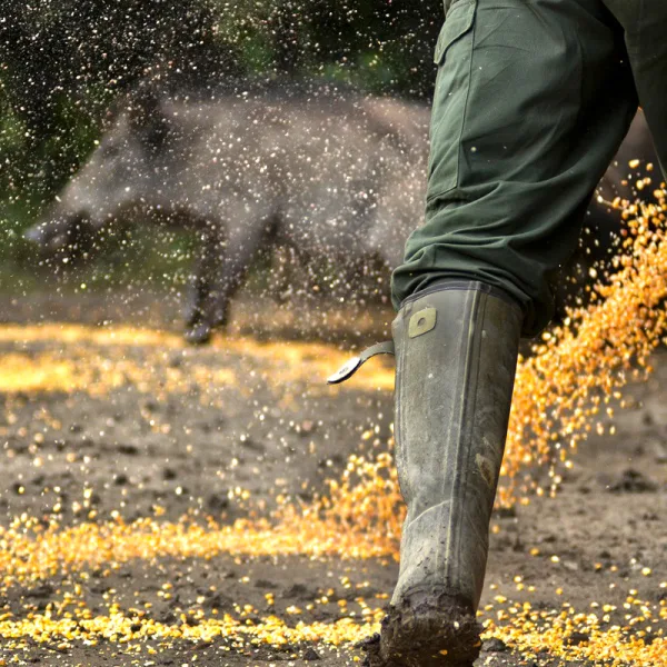 plan furtivos alimentar zona