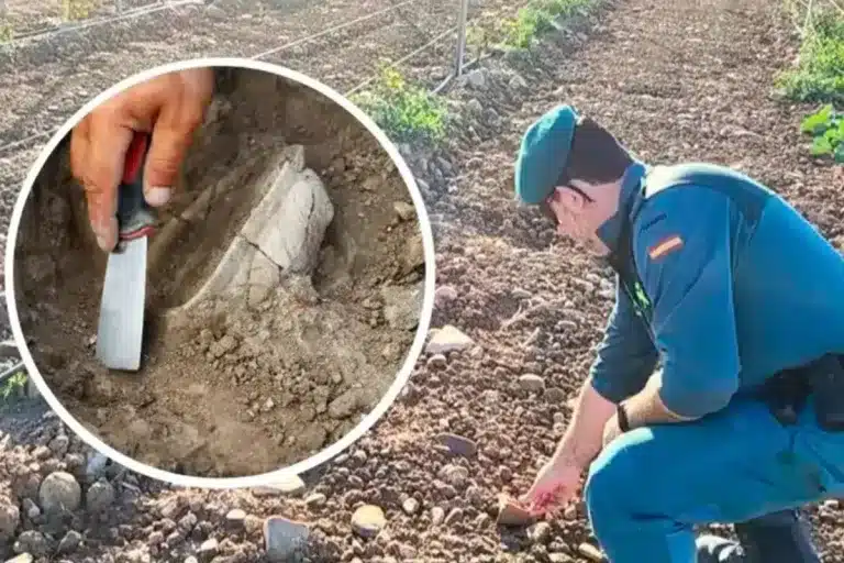 agricultor daño restos arqueológicos