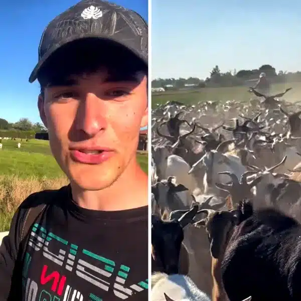 agricultor domingueros Semana Santa