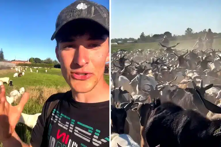 agricultor domingueros Semana Santa