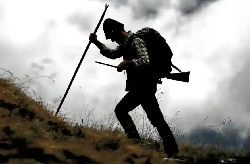 Andrea Cavaglià Cazaflix