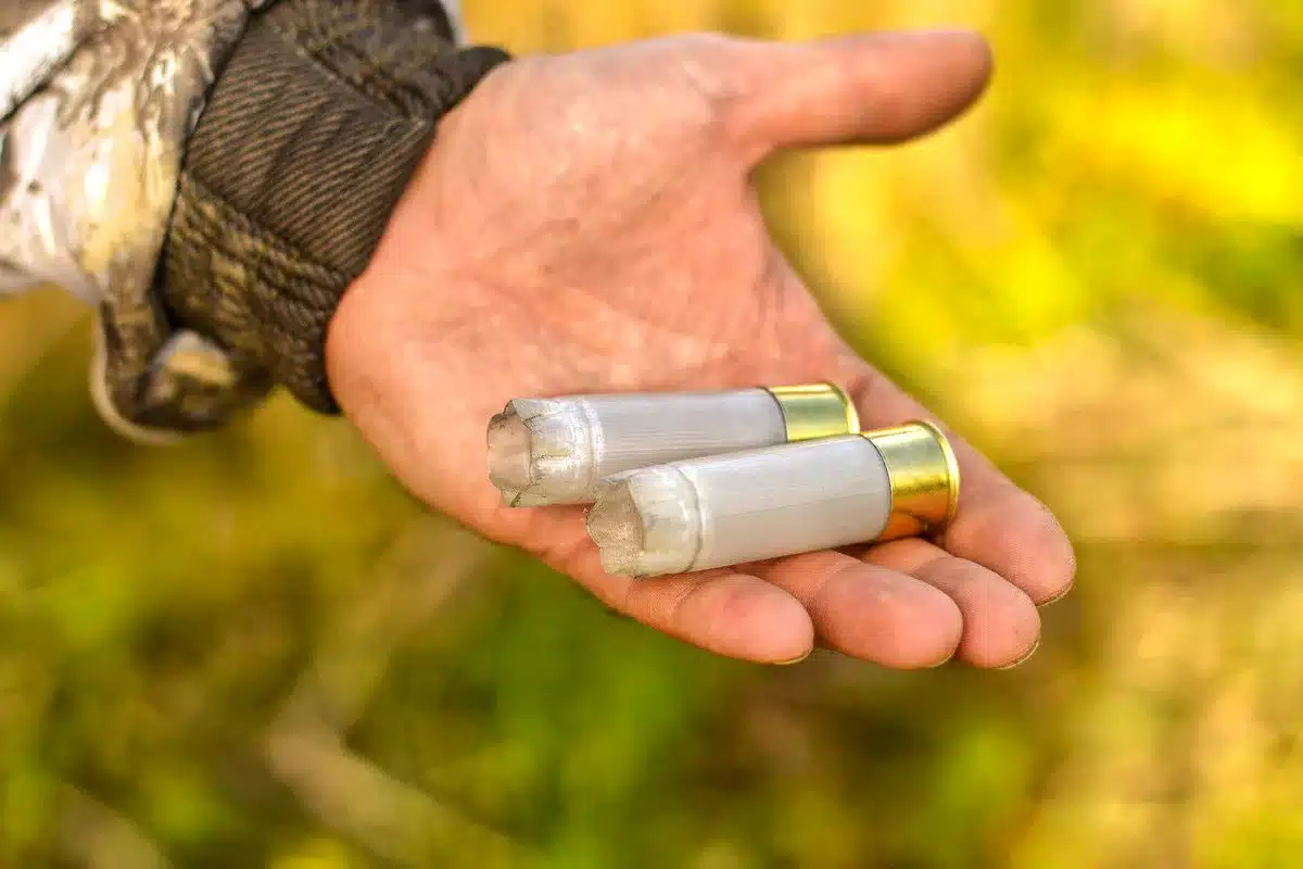 Bruselas quiere prohibir el plomo en la caza