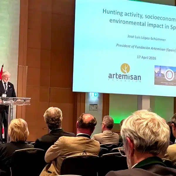 © Fundación Artemisan