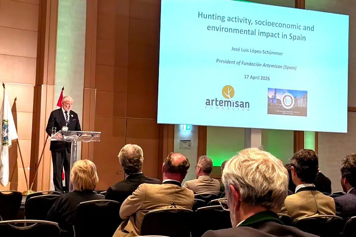 © Fundación Artemisan