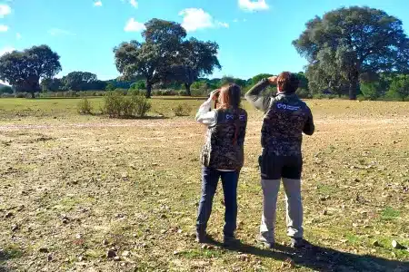 Censos codorniz y tórtola Observatorio Cinegético