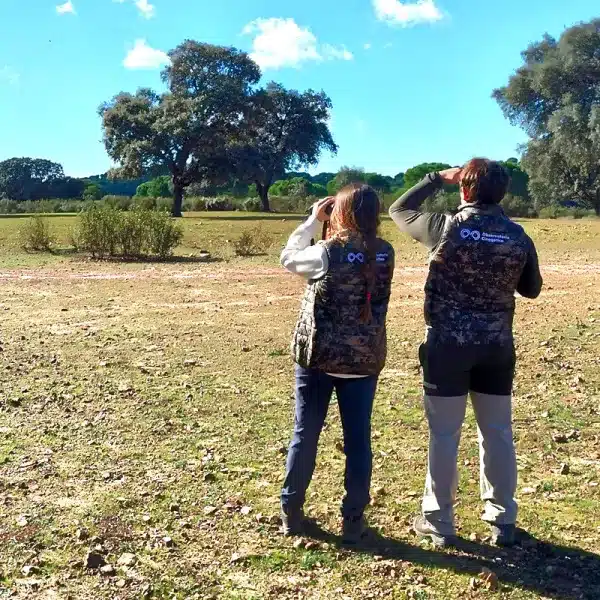 Censos codorniz y tórtola Observatorio Cinegético