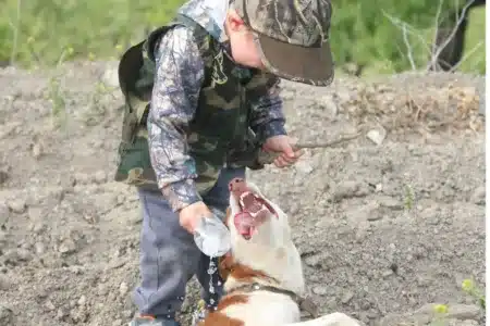 concurso mi perro es de caza