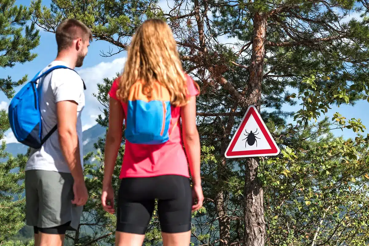 consejos experto garrapatas