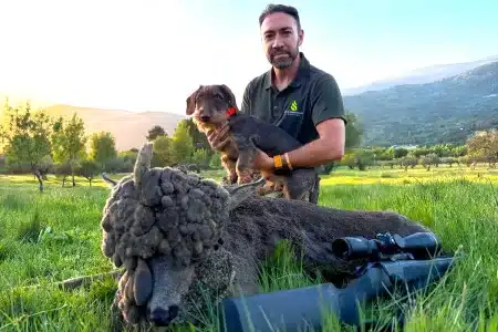 corzo peluca dos cabezas Ávila