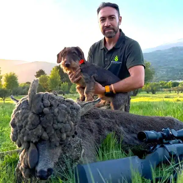 corzo peluca dos cabezas Ávila