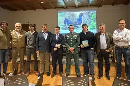 Estreno serie guardianes del campo