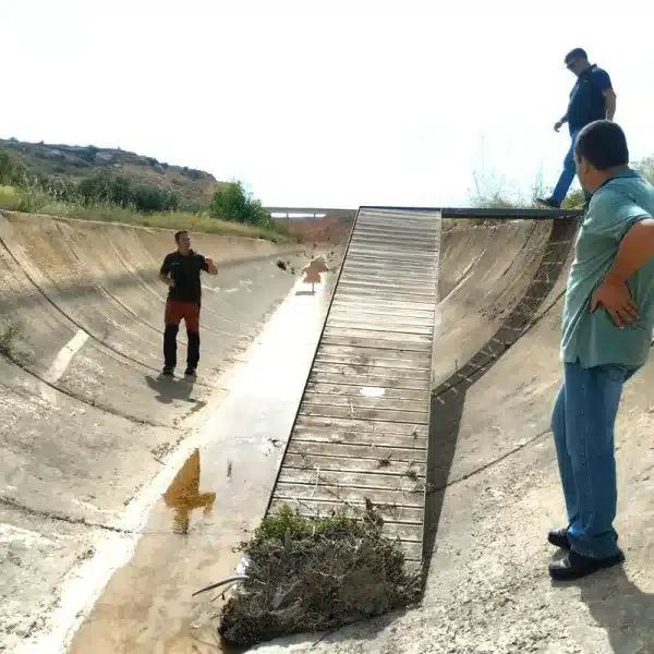 Fundación Artemisan urge medidas ahogamientos canales