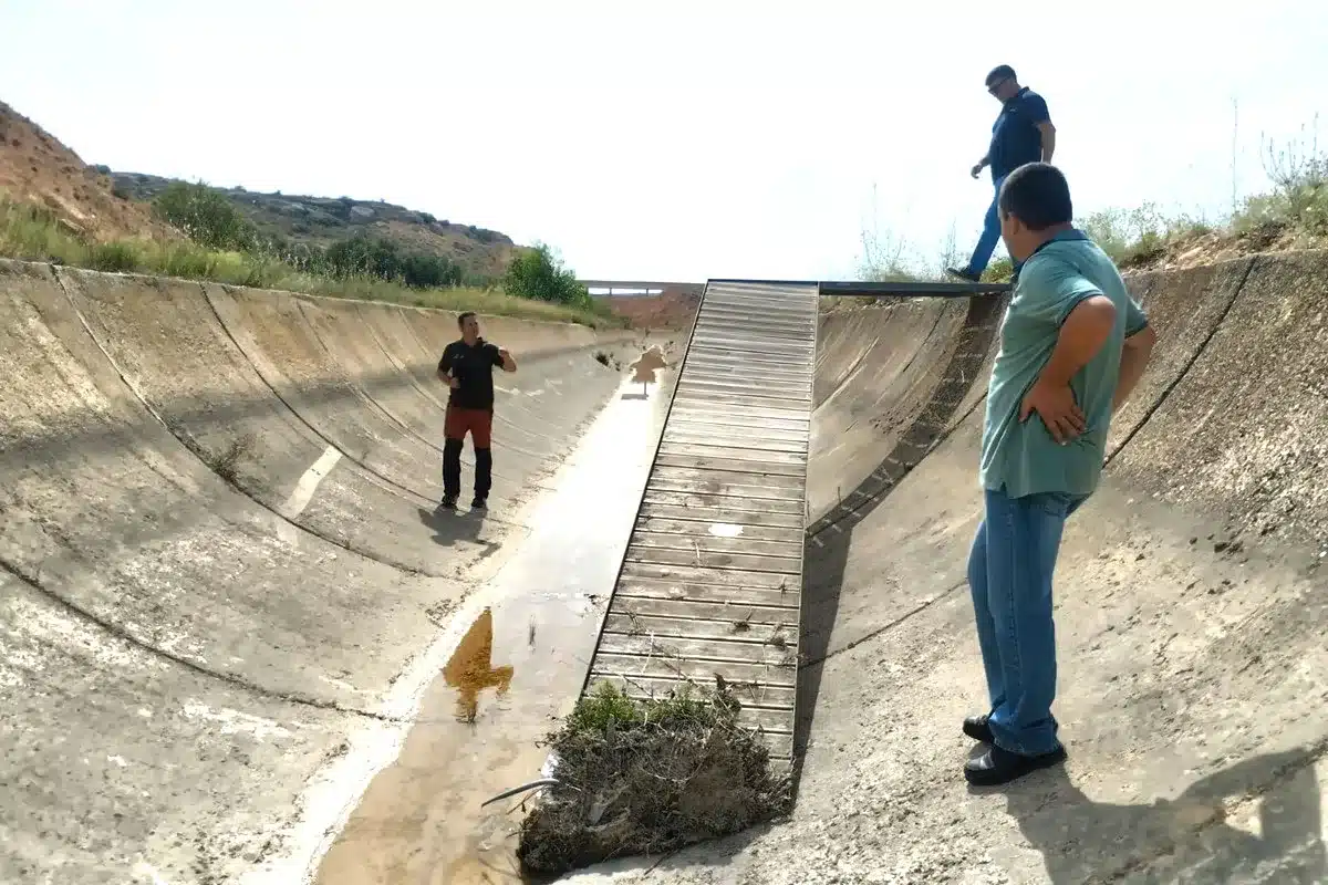 Fundación Artemisan urge medidas ahogamientos canales