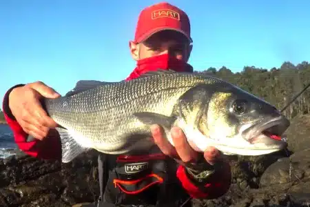 lubina equipo ultraligero