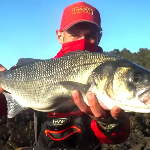 lubina equipo ultraligero