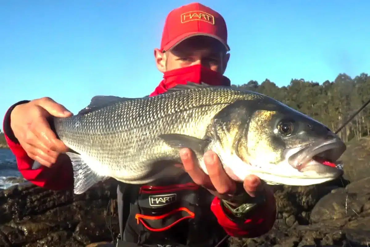 lubina equipo ultraligero