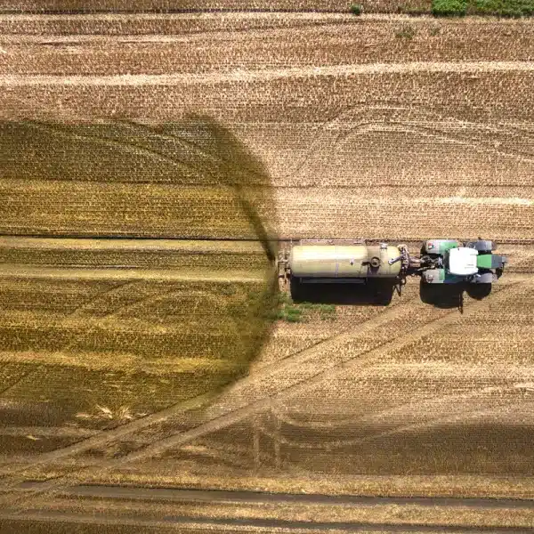 precio estiércol se dispara