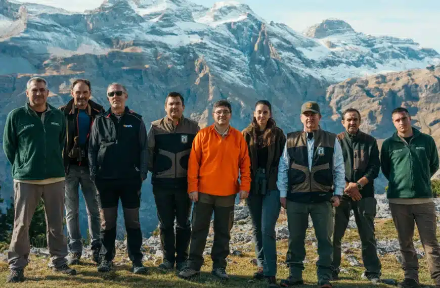 Guardianes del Campo