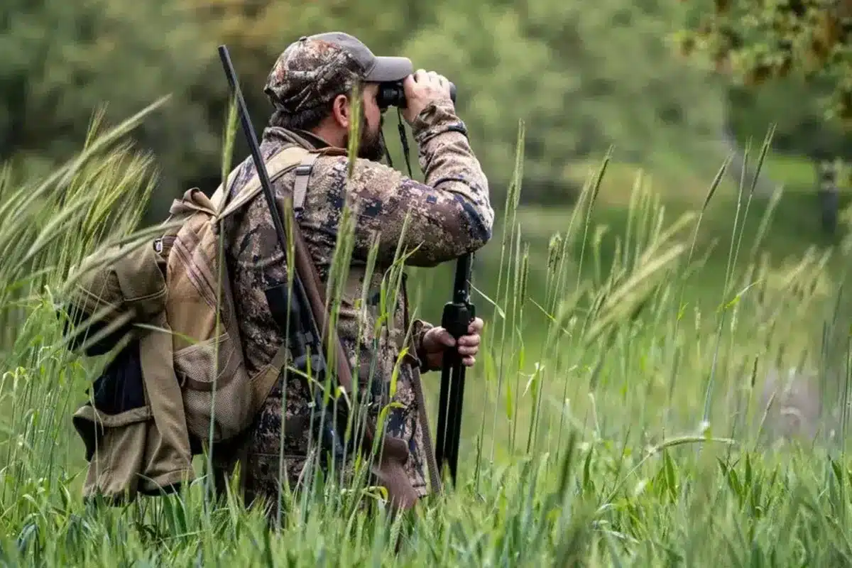 truco garrapatas cazadores