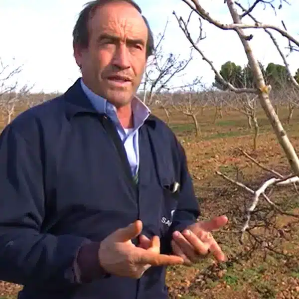 Agricultor pistacho