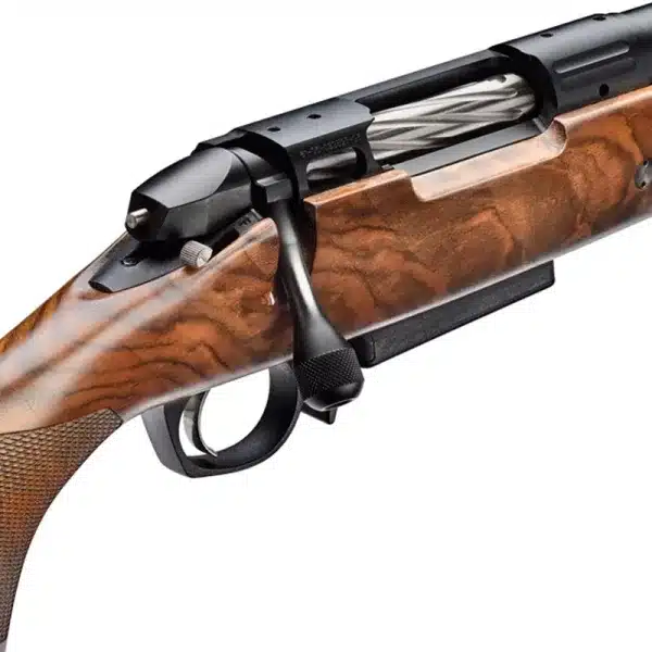 BERGARA EXPEDITION