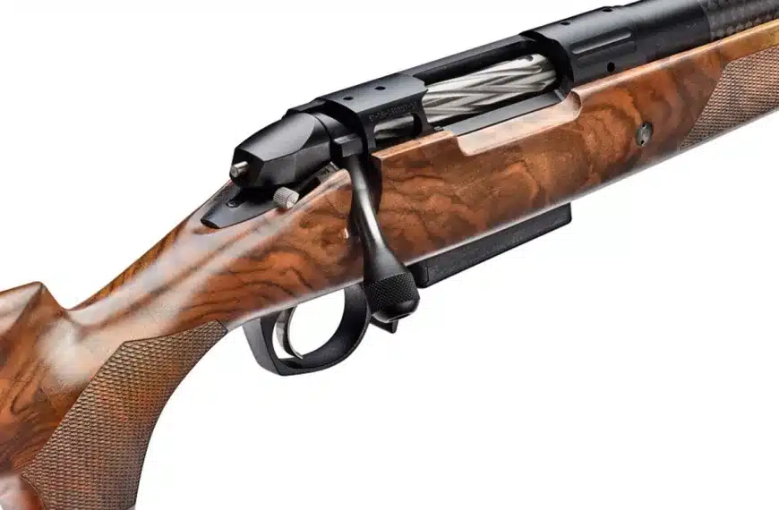 BERGARA EXPEDITION