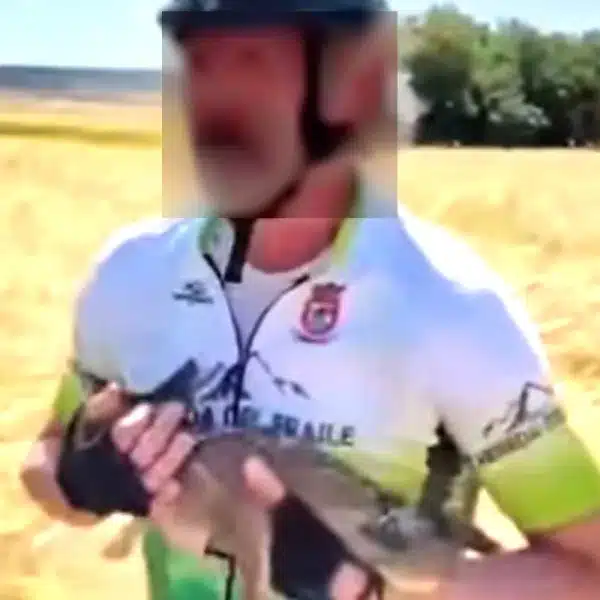ciclista coge corcino