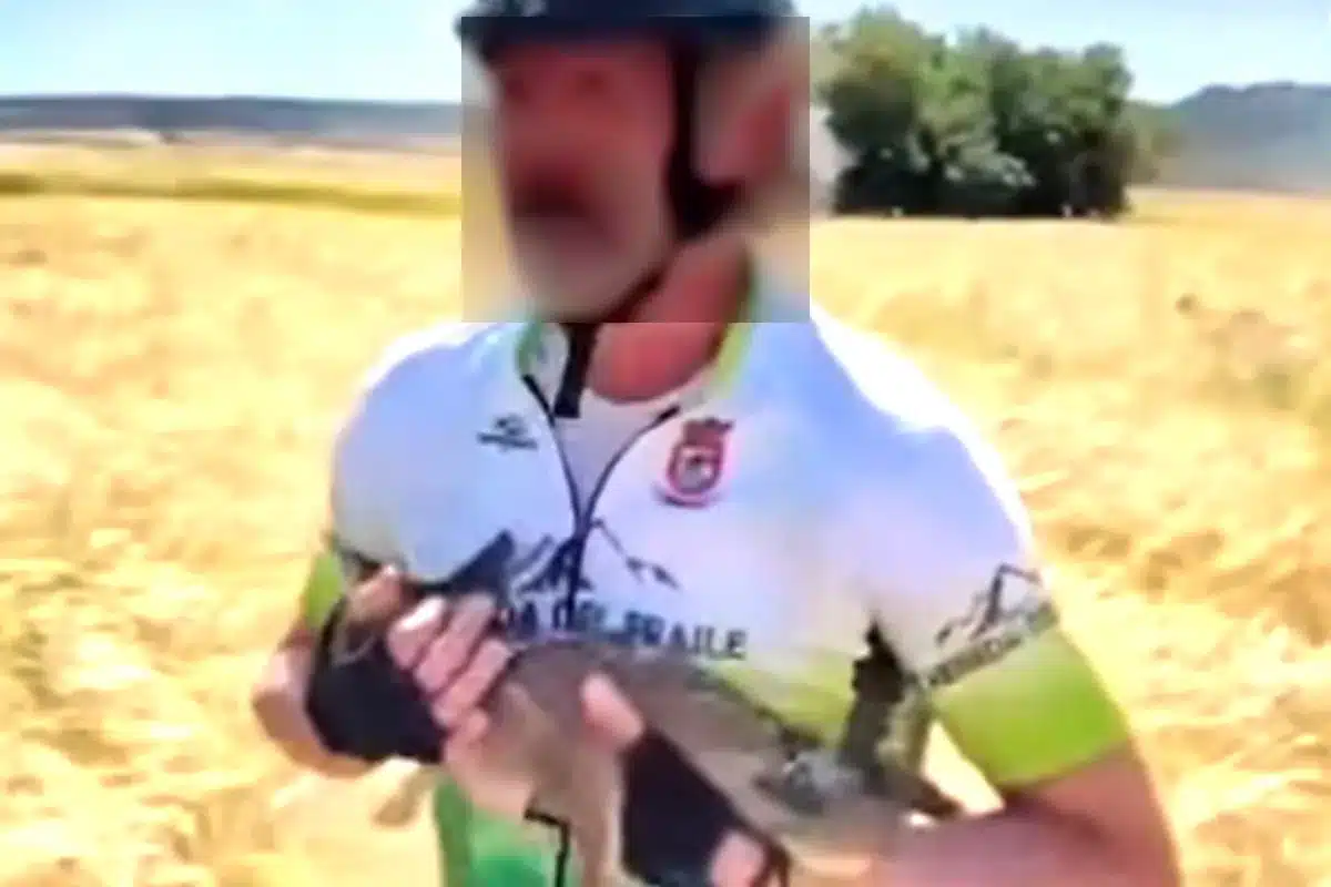 ciclista coge corcino
