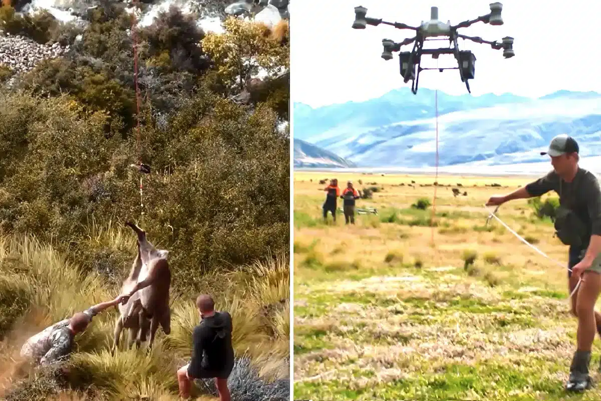 Dron saca piezas caza monte