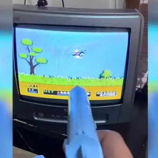 Duck Hunt