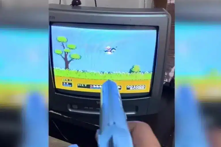 Duck Hunt