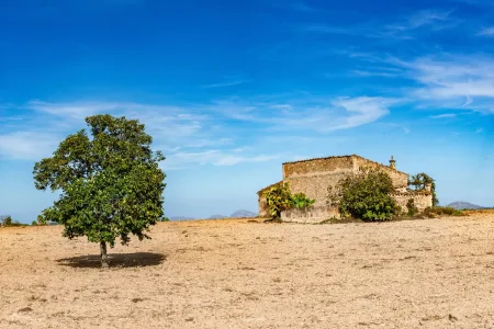 Finca rústica Hacienda en venta