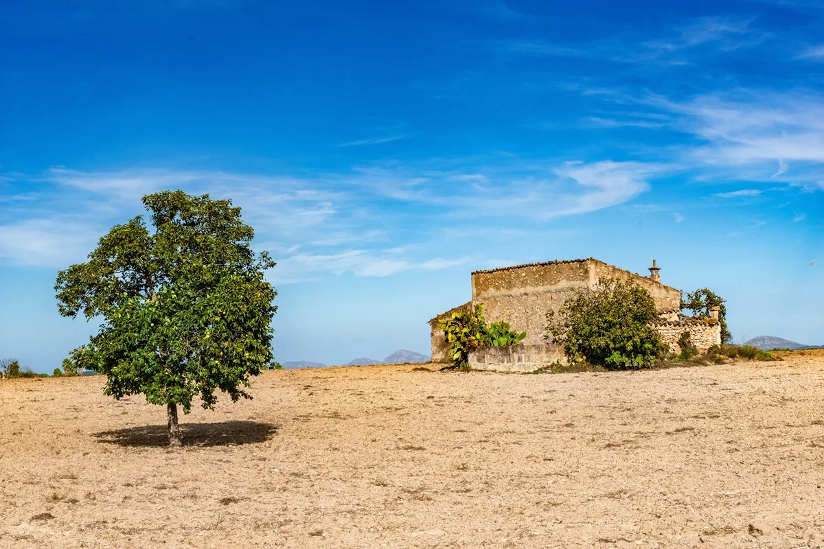 Finca rústica Hacienda en venta
