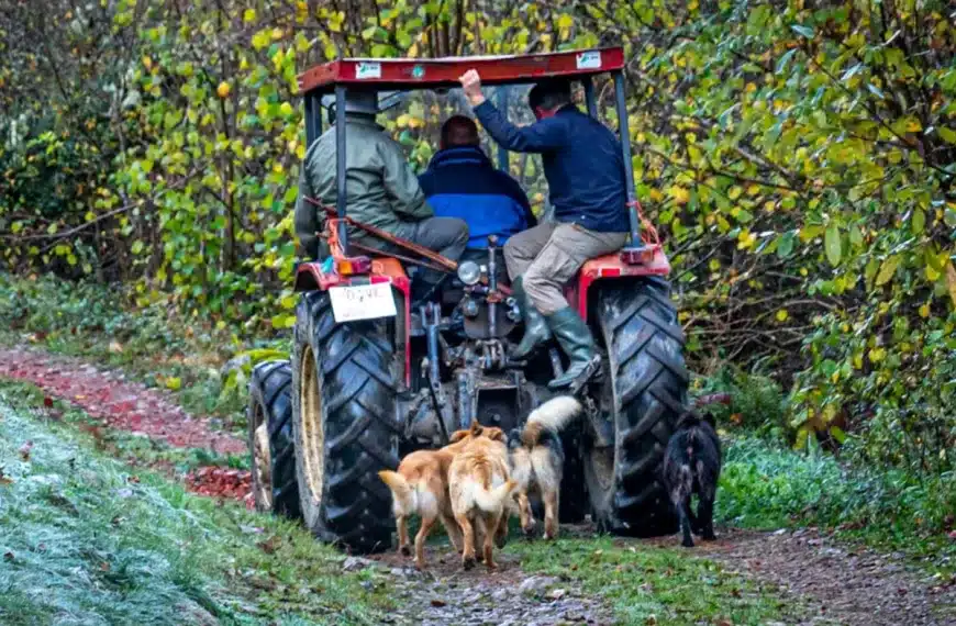 ganaderos tractor
