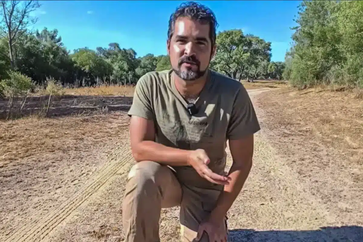 Sergio Magallanes, científico de Doñana, desvela su truco para evitar las garrapatas: «Hay que crear un espacio para que suban pero se queden ahí»