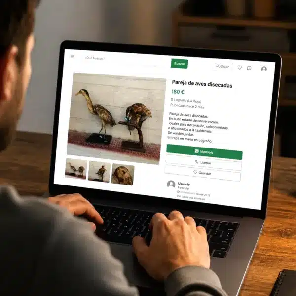 multado vender aves disecadas Internet