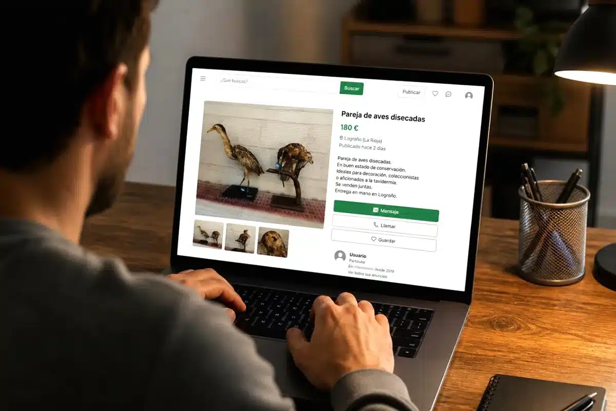 multado vender aves disecadas Internet
