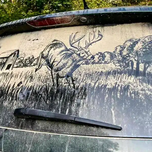 obra arte caza polvo luna coche