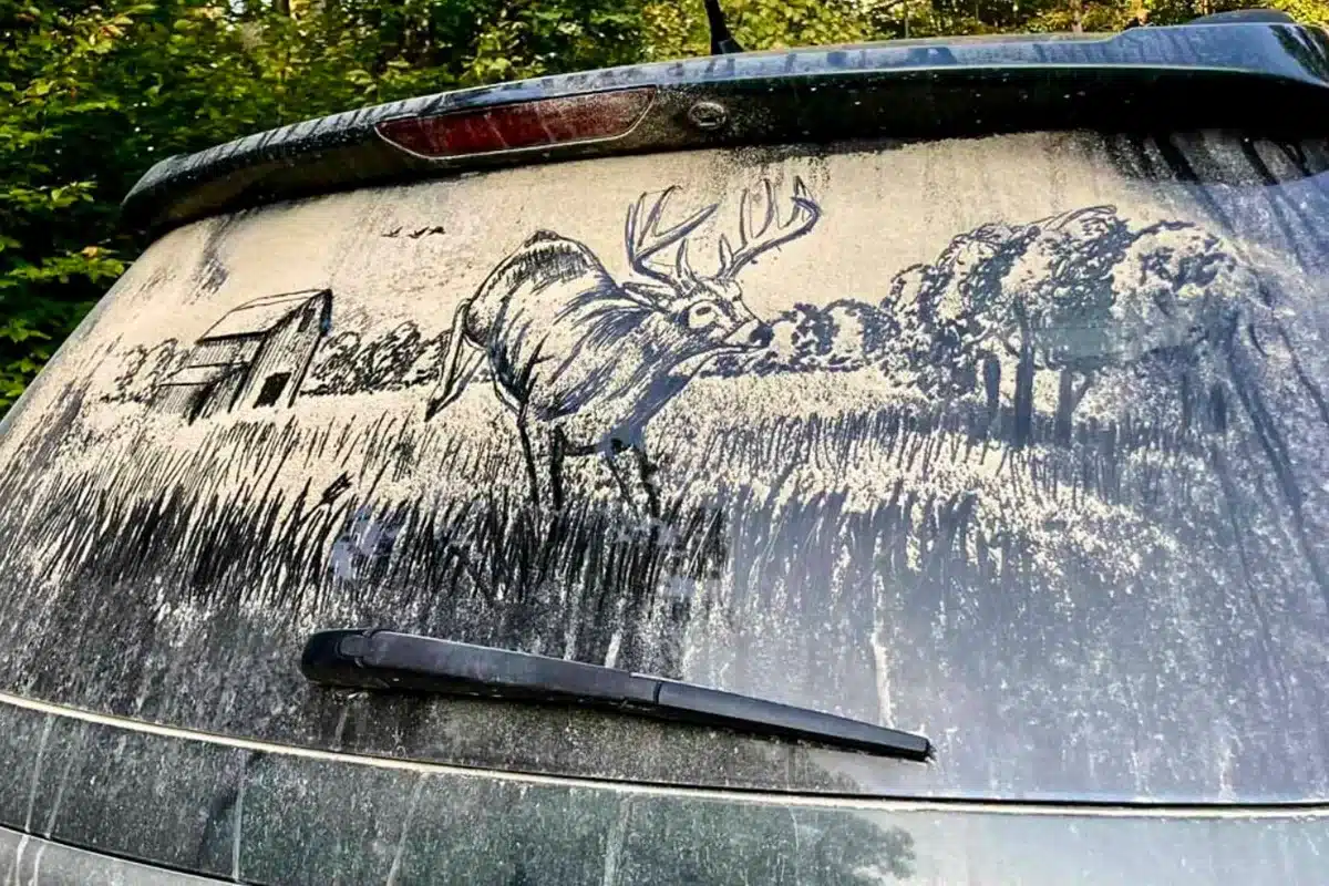 obra arte caza polvo luna coche