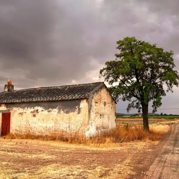 subasta fincas Hacienda