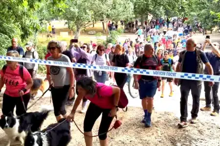 Animalistas promueven caminata Collserola riesgo peste porcina africana jabalíes