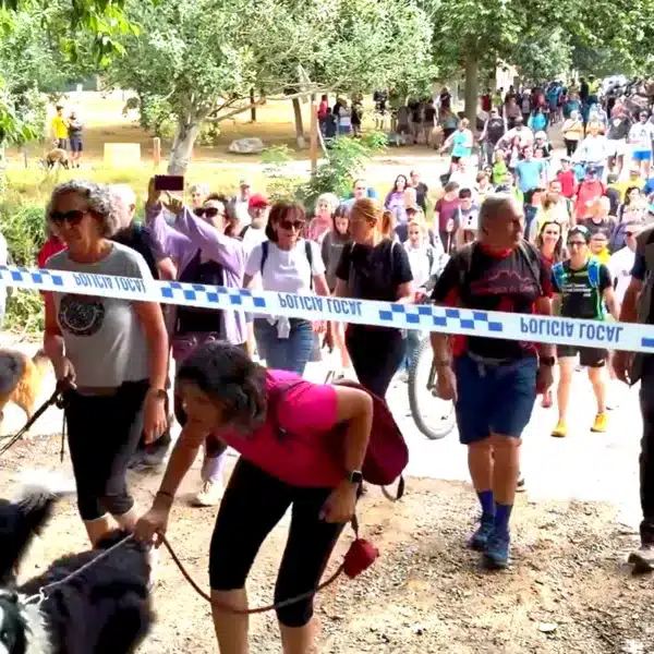 Animalistas promueven caminata Collserola riesgo peste porcina africana jabalíes