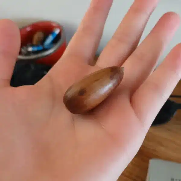 anuncio bellota