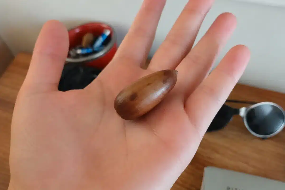 anuncio bellota