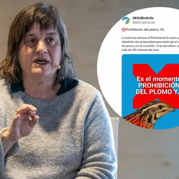 Beatriz Arroyo plomo caza