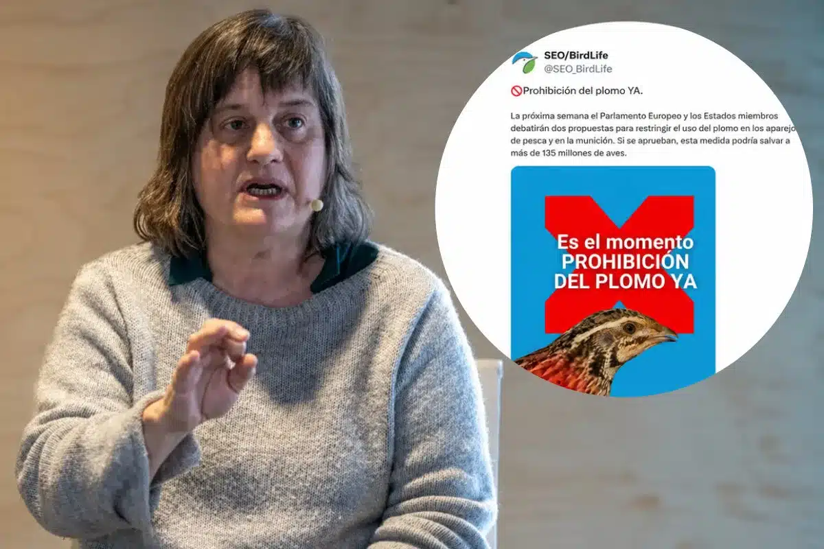Beatriz Arroyo plomo caza