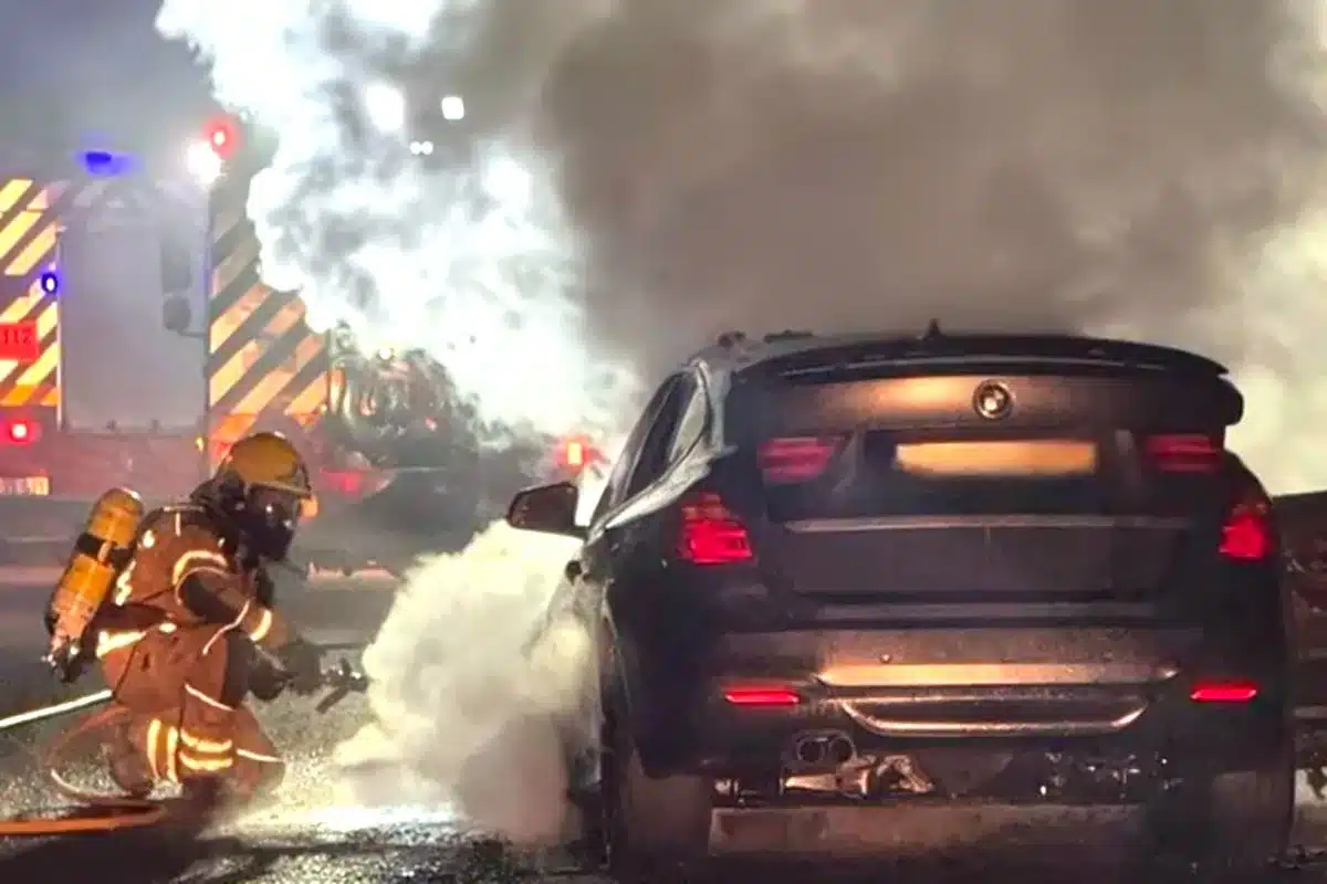 coche arde tras atropellar jabalí
