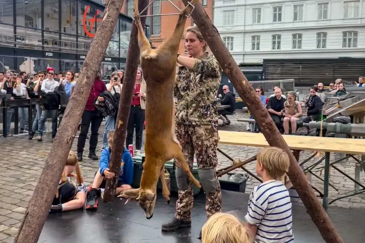 Así se vive la caza en Dinamarca: despiezan un corzo ante decenas de niños en pleno centro de Copenhague