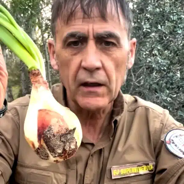 experto supervivencia cebolla mortal