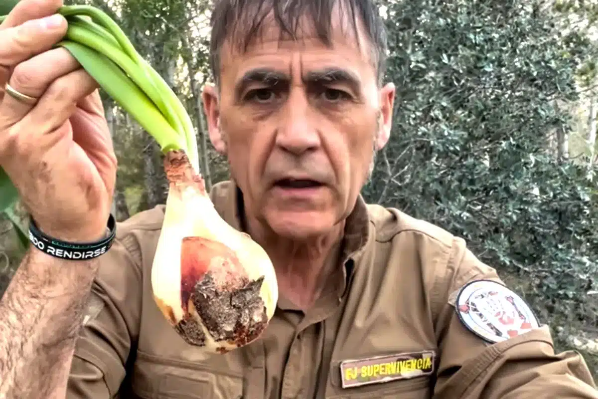 experto supervivencia cebolla mortal